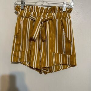 Striped Camel Women's Shorts